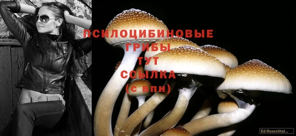 крисы Беломорск