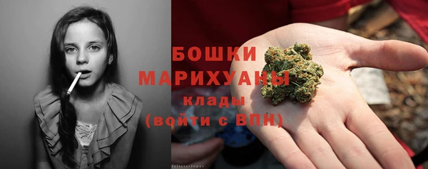 прущие грибы Белоозёрский