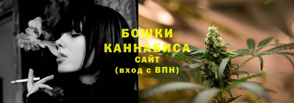 прущие грибы Белоозёрский