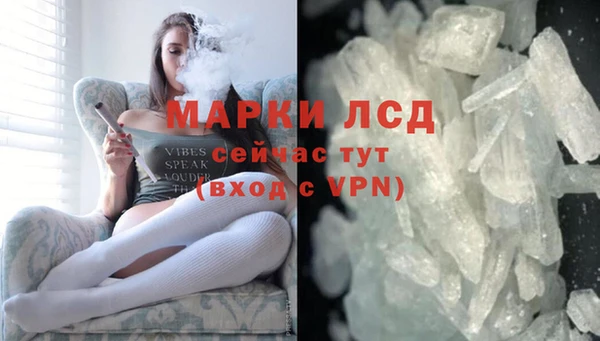 прущие грибы Белоозёрский
