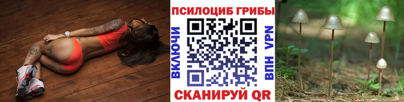 Галлюциногенные грибы Psilocybine cubensis где можно купить наркотик Волжск